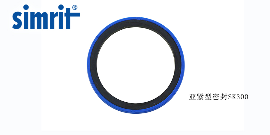德國旋轉(zhuǎn)骨架油封，讓密封效果更好